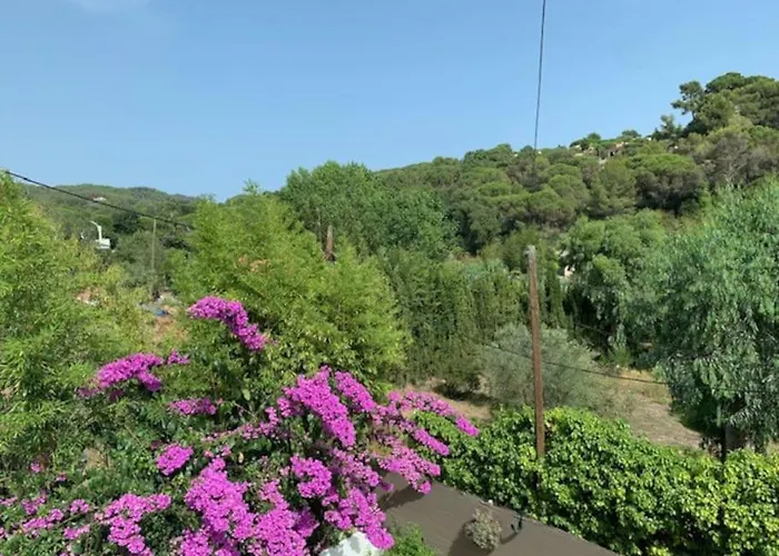 T2 Climatise + Parking 500 M Plage/centre شقة *