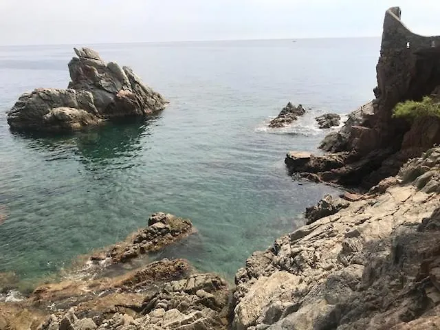 Apartamento T2 Climatisé + Parking 500 M Plage/centre