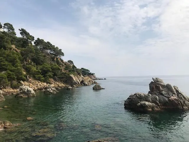 T2 Climatisé + Parking 500 M Plage/centre * Lloret de Mar