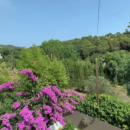 T2 Climatisé + Parking 500 M Plage/centre Apartamento *