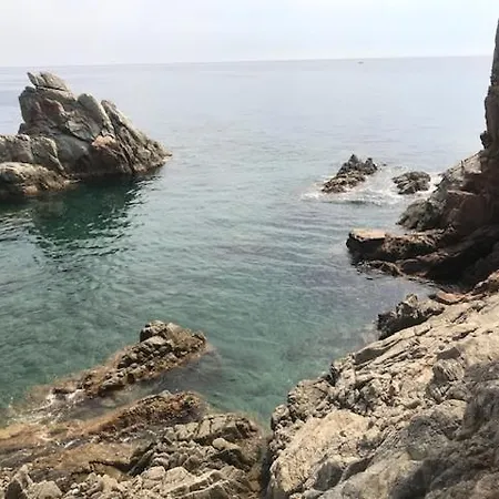 Apartamento T2 Climatisé + Parking 500 M Plage/centre